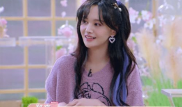 娱乐圈吃瓜小料郑爽,娱乐圈风云再起，揭秘明星背后的真相