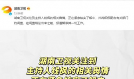 娱乐圈吃瓜文件最新,揭秘明星幕后真相与情感纠葛